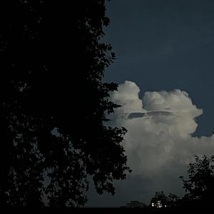 2019年中文字字幕在线看不卡
